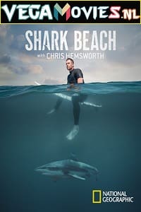 Download Shark Beach with Chris Hemsworth (2021) Dual Audio {Hindi-English} 720p [250MB] HEVC HDRip poster