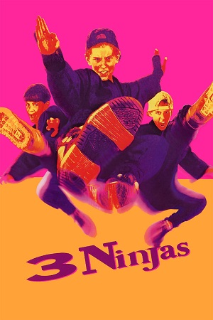 Download 3 Ninjas (1992) Dual Audio {Hindi-English} BluRay 480p [370MB] | 720p [850MB] | 1080p [1.8GB] poster