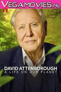 Download NetFlix David Attenborough: A Life on Our Planet (2020) English 480p [400MB] | 720p [800MB] poster