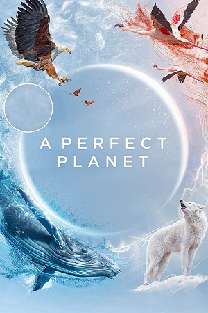 Download A perfect Planet (Season 1) Dual Audio [Hindi + English] Complete Web Series Esubs 720p [400MB] poster