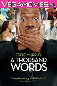Download A Thousand Words (2012) Dual Audio {Hindi-English} 480p [300MB] | 720p [800MB] poster