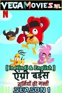 Download Angry Birds: Summer Madness (2022) Season 1 Dual Audio {Hindi-English} Netflix Original WEB Series 480p | 720p WEB-DL poster