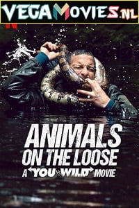 Download Animals on the Loose: A You vs. Wild Movie (2021) English 480p [520MB] | 720p [1.5GB] poster