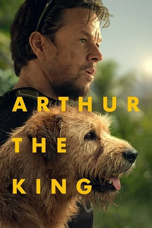 Download Arthur the King (2024) BluRay Dual Audio {Hindi-English} 480p [530MB] | 720p [1.2GB] | 1080p [2.9GB] poster