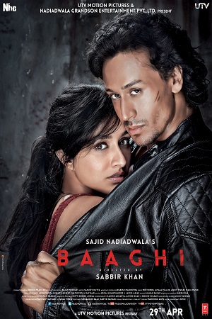 Download Baaghi (2016) Hindi Full Movie 480p [300MB] | 720p [1GB] | 1080p [4.7GB] poster