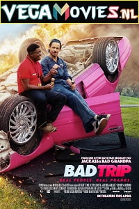 Download Bad Trip (2020) Dual Audio {Hindi-English} 480p [300MB] | 720p [650MB] | 1080p [1.3GB] poster