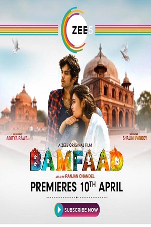 Download Bamfaad (2020) Hindi Full Movie 480p [300MB] | 720p [1GB] | 1080p [2GB] poster