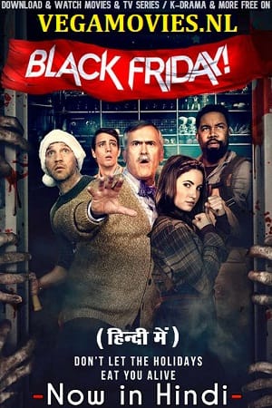 Download Black Friday (2022) Blu-Ray Dual Audio {Hindi-English} 480p [350MB] | 720p [860MB] | 1080p [2GB] poster