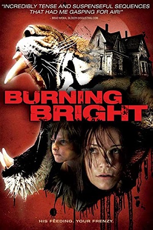 Download Burning Bright (2010) Dual Audio {Hindi-English} 480p [350MB] | 720p [1.2GB] | 1080p [1.6GB] poster