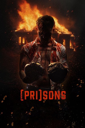 Download (Pri)sons (2024) WEB-DL Dual Audio {Hindi-English} 480p [450MB] | 720p [740MB] | 1080p [2GB] poster