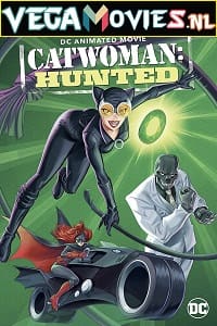 Download Catwoman: Hunted (2022) {English With Subtitles} 480p [350MB] | 720p [850MB] | 1080p [1.5GB] poster