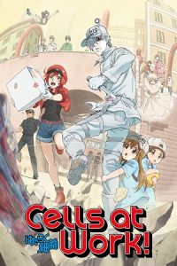 Download Cells at Work! (Season 1) Multi Audio {Hindi-English-Japanese} Anime Series 480p 720p & 1080p Blu-Ray poster