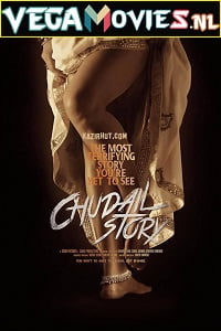 Download Chudail Story (2016) Hindi Full Movie 480p [250MB] | 720p [900MB] | 1080p [2.5GB] poster