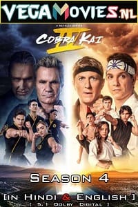 Download Cobra Kai – Netflix Original (2021) Season 4 Dual Audio {Hindi-English} 480p [150MB] | 720p [300MB] WEB-DL poster