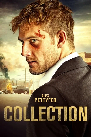 Download Collection (2021) Dual Audio {Hindi-English} 480p [315MB] | 720p [900MB] | 1080p [1.7GB] BluRay poster