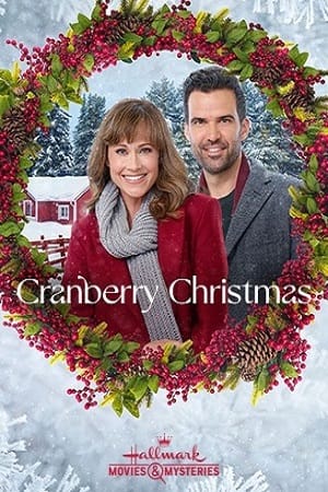 Download Cranberry Christmas (2020) BluRay {English With Subtitles} Full Movie 480p [300MB] | 720p [700MB] | 1080p [1.7GB] poster
