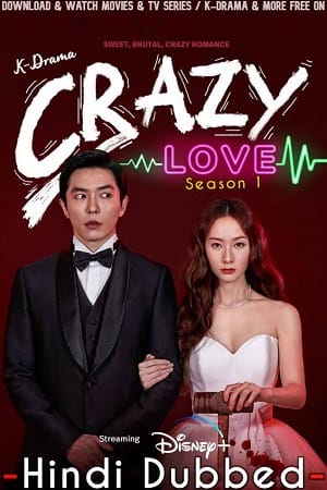 Download Crazy Love (2022) Season 1 Dual Audio {Hindi-Korean} 480p | 720p WEB-DL poster
