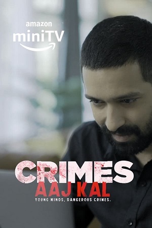 Download Crimes Aaj Kal (Season 1 – 3) Hindi Complete AMZN WEB Series 480p | 720p | 1080p WEB-DL poster