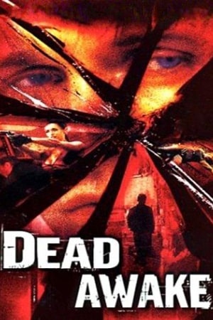 Download Dead Awake (2001) Dual Audio {Hindi-English} WEB-DL 480p [320MB] | 720p [950MB] | 1080p [2GB] poster