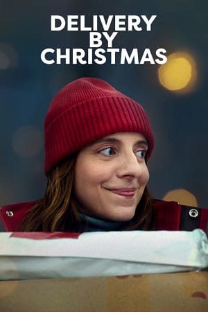 Download Delivery By Christmas (2022) WEB-DL Dual Audio {Hindi-English} 480p [400MB] | 720p [1.2GB] | 1080p [2.2GB] poster