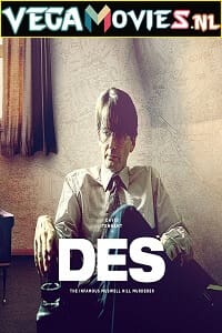 Download Des (2020) Season 1 Dual Audio {Hindi-English} 480p | 720p HDRip poster