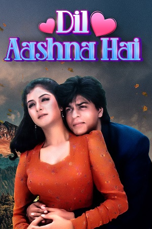 Download Dil Aashna Hai (1992) HDRip Hindi Full Movie 480p [400MB] | 720p [1.4GB] | 1080p [4GB] poster