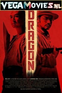 Download Dragon (2011) Dual Audio {Hindi-English} 480p [300MB] | 720p [750MB]