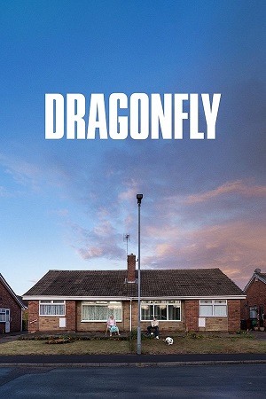 Download Dragonfly (2025) WEB-DL {English With Subtitles} Full Movie 480p [300MB] | 720p [800MB] | 1080p [1.9GB] poster