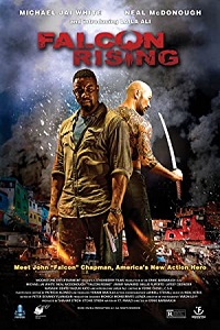 Download Falcon Rising (2014) Dual Audio Hindi 480p [300MB] || 720p [800MB] poster