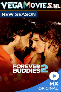 Download Forever Buddies [Season 1 – 2] Hindi Complete MX Original WEB Series 480p | 720p WEB-DL poster