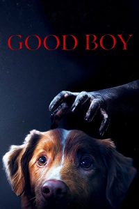Download Good Boy (2025) WEB-DL {English With Subtitles} Full Movie 480p [220MB] | 720p [900MB] | 1080p [1.4GB] poster