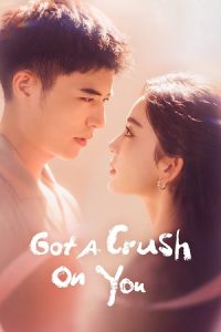 Download Got a Crush on You (Season 1) Hindi ORG Dubbed Series 480p 720p & 1080p WEB-DL poster