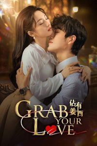 Download Grab Your Love (Season 1) Hindi ORG Dubbed Series 480p 720p & 1080p WEB-DL poster