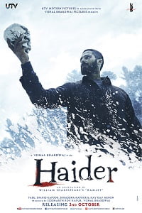 Download Haider (2014) Hindi Full Movie WEB-DL 480p [350MB] | 720p [1.4GB] | 1080p [4.7GB] poster
