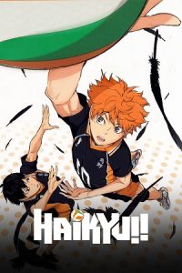 Download Haikyu!! (Season 1 – 4) Multi Audio {Hindi-English-Japanese} Series 480p 720p &amp; 1080p WEB-DL poster
