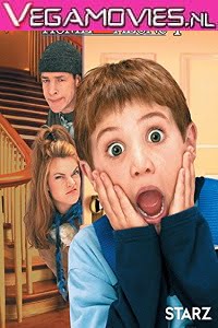 Download Home Alone 4 (2002) Dual Audio {Hindi-English} 480p [300MB] | 720p [600MB] | 1080p [2GB] poster