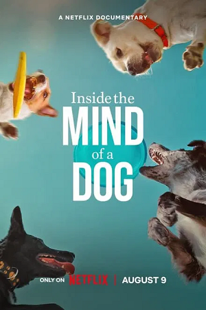 Download Inside The Mind Of A Dog (2024) WEB-DL Dual Audio {Hindi-English} 480p [250MB] | 720p [690MB] | 1080p [1.6GB] poster