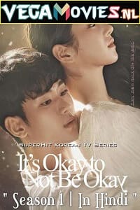 Download It’s Okay to Not Be Okay (Season 1) Dual Audio [Hindi-Korean] Complete Netflix Web Series 480p [200MB] | 720p [500MB] poster