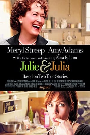 Download Julie & Julia (2009) Dual Audio {Hindi-English} 480p [450MB] | 720p [950MB] | 1080p [2.3GB] poster