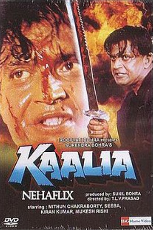 Download Kaalia (1997) Hindi Full Movie WEB-DL 480p [400MB] | 720p [1.3GB] | 1080p [3.6GB] poster