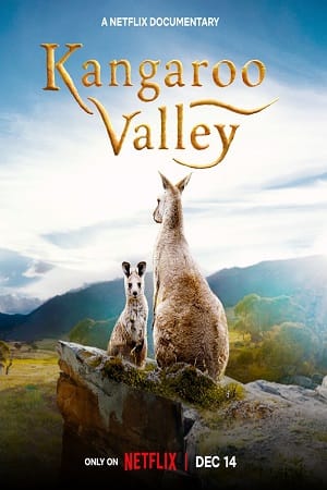 Download Kangaroo Valley (2022) Dual Audio {Hindi-English} 480p [250MB] | 720p [700MB] | 1080p [1.6GB] poster