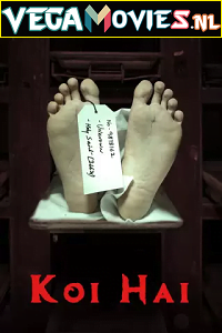 Download Koi Hai (2021) Season 1 Hindi MX Player Complete WEB Series 480p | 720p HDRip poster