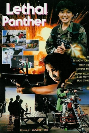 Download Lethal Panther (1990) BluRay Dual Audio {Hindi-English} 480p [350MB] | 720p [950MB] | 1080p [1.8GB] poster