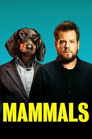 Download Mammals (2022) Season 1 Dual Audio {Hindi-English} Amazon Prime 480p | 720p WEB-DL poster