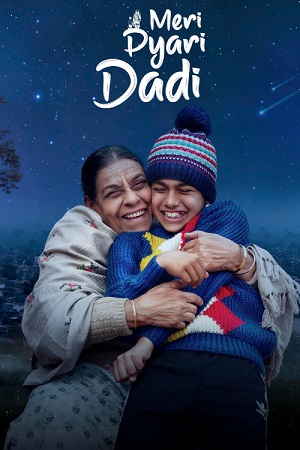 Download Meri Pyari Dadi (2025) Punjabi (DD5.1) Full Movie WEB-DL 480p [350MB] | 720p [950MB] | 1080p [2GB] poster