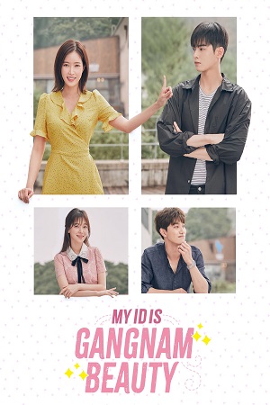 Download My ID Is Gangnam Beauty (Season 1) Hindi Dubbed ORG WEB-DL 720p 10Bit [230MB] poster