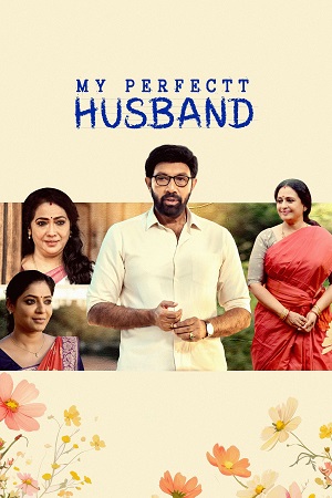 Download My Perfectt Husband (2024) Hindi Season 1 Complete Hotstar Special WEB Series 480p | 720p | 1080p WEB-DL poster
