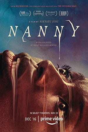 Download Nanny – Amazon Original (2022) WEB-DL Dual Audio {Hindi-English} 480p [350MB] | 720p [1GB] | 1080p [2.2GB] poster