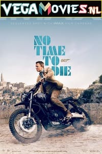 Download No Time to Die (2021) WEB-DL {English With Subtitles} 480p [500MB] | 720p [1.3GB] | 1080p [3.2GB] poster
