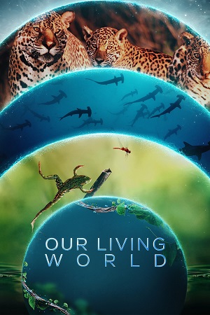 Download Our Living World (Season 1) Dual Audio {Hindi ORG. + English} 480p | 720p | 1080p poster